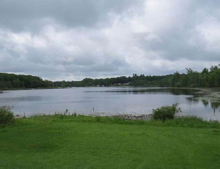 Indianhead Dr, Six Lakes, MI 48886, Foreclosure 195,000 3BD / 1BH