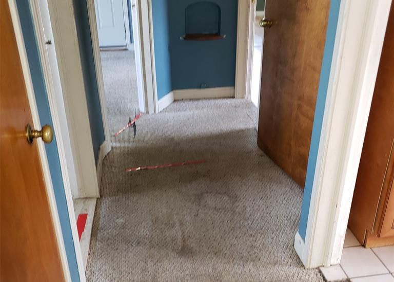 Rausch Ave, Eastpointe, MI 48021, Foreclosure 70,000 3BD / 1BH Foreclosure Listing 29407834