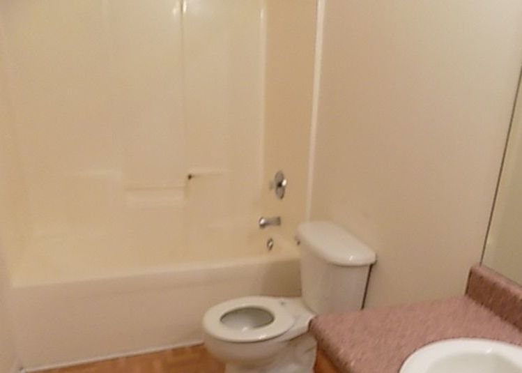 Willis Wilder Dr, Forsyth, GA 31029, Foreclosure 59,000 3BD / 2BH