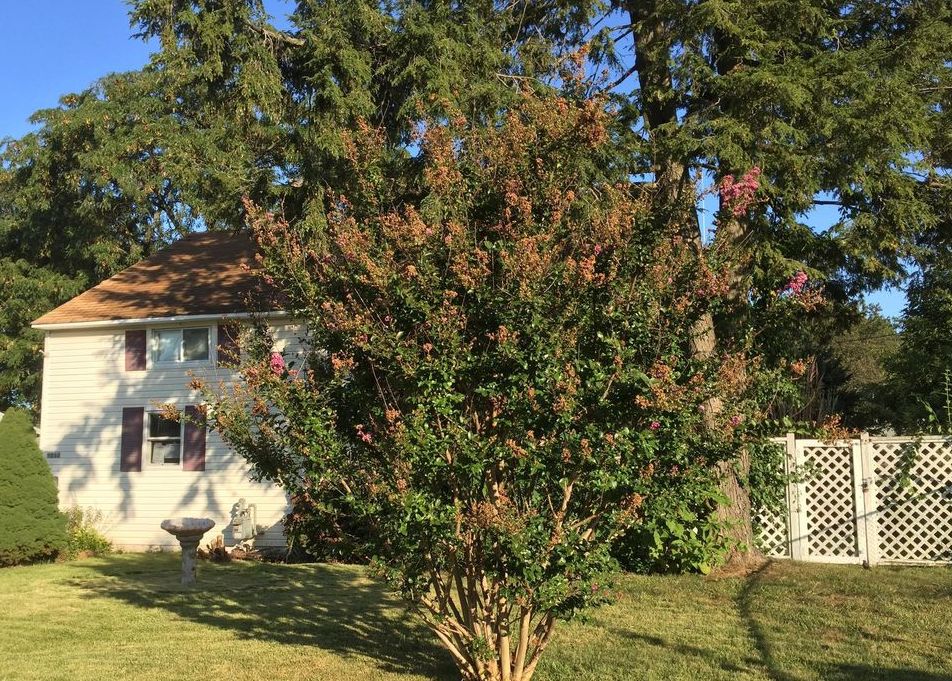Property #29870969 Photo