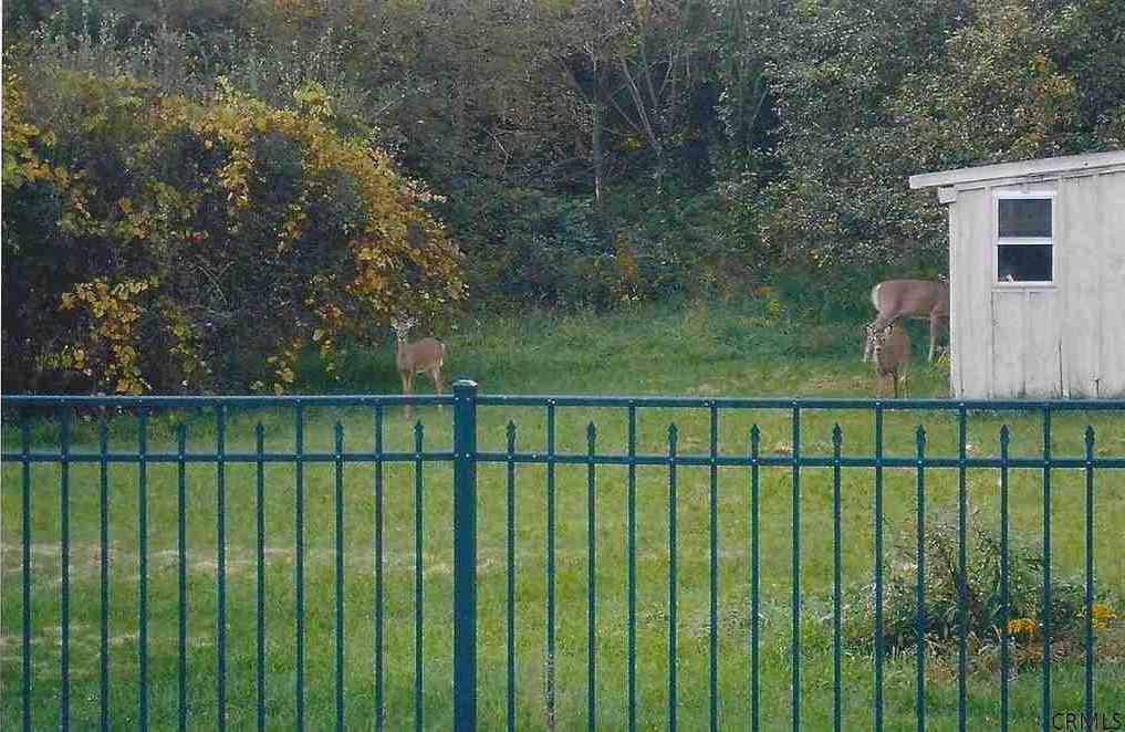 Maple Hill Rd, Castleton On Hudson, NY 12033, Preforeclosure 217,000