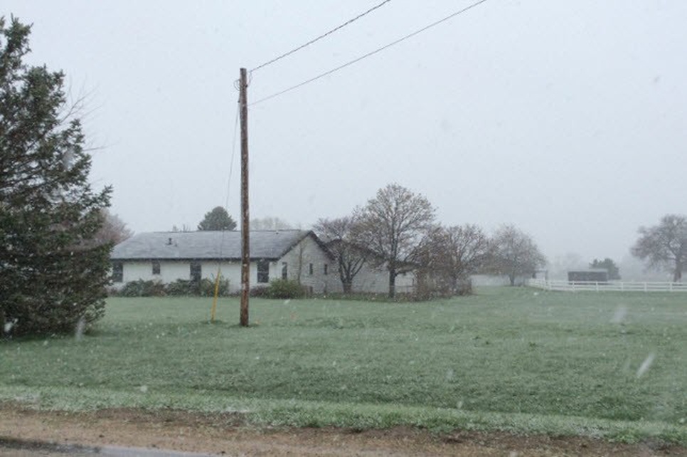 Property #29353384 Photo