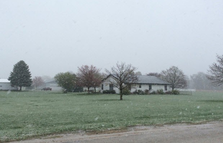 Property #29353384 Photo
