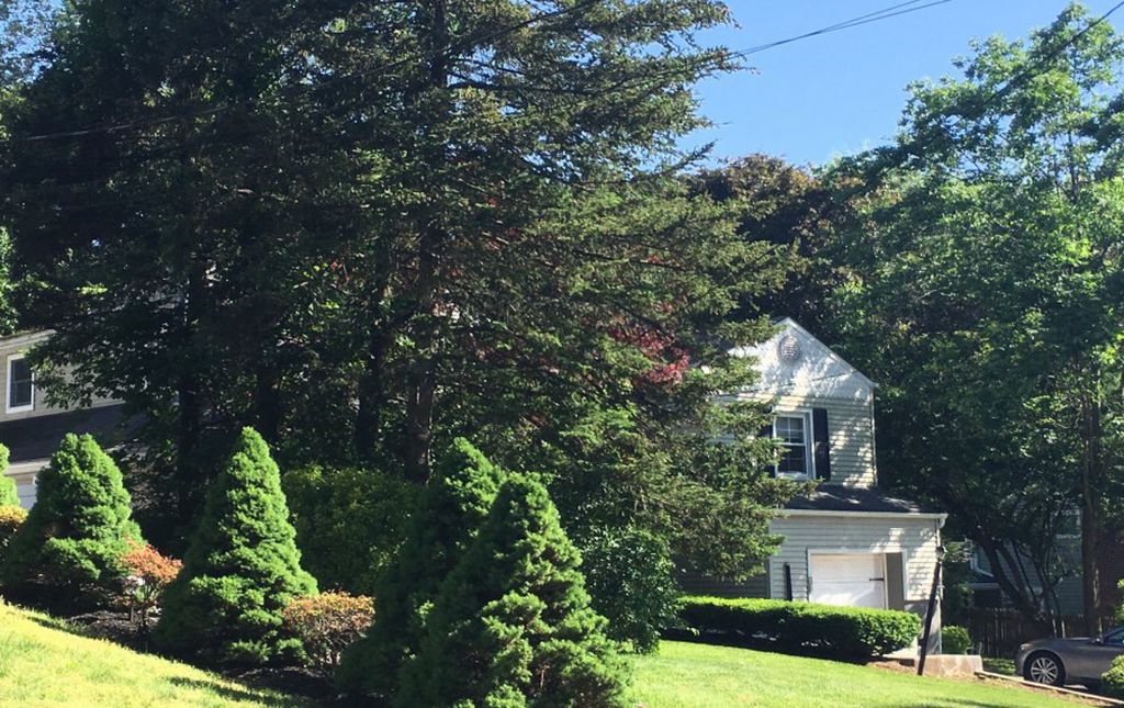 Saxon Woods Rd P, White Plains, NY 10605, Preforeclosure 77,100