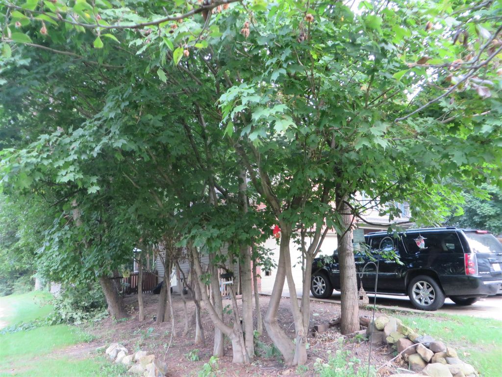 Winding Creek Rd, Plainfield, IL 60586, Preforeclosure 416,400 3BD