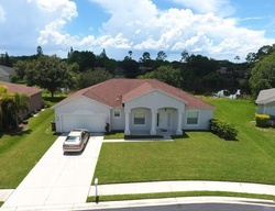 Foreclosure in  HAWKS SHADOW DR Fort Myers, FL 33905