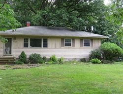Foreclosure Listing in ALTHEA DR PAINESVILLE, OH 44077