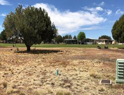 Foreclosure Listing in PASSAGE DR SHOW LOW, AZ 85901