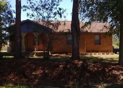 Foreclosure in  S STATE HIGHWAY 605 Dothan, AL 36301