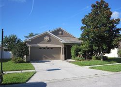 Foreclosure Listing in SUNSET BAY DR LAND O LAKES, FL 34638