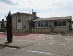 Foreclosure in  CHINABERRY DR El Paso, TX 79925
