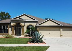 Foreclosure in  GREYSTONE DR Spring Hill, FL 34609