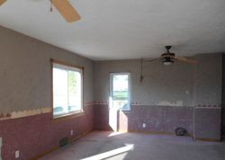 Foreclosure Listing in N WILLOW ST TOLUCA, IL 61369