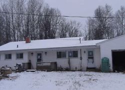 Foreclosure in  ORA LAKE RD Hale, MI 48739