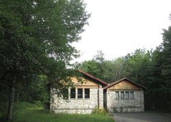 Foreclosure in  FOX MOUNTAIN RD Livingston Manor, NY 12758