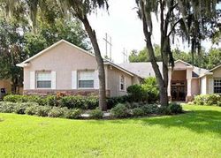 Foreclosure in  WILD ORCHID DR Lithia, FL 33547