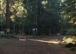 Foreclosure in  BIG TREES LN Shingletown, CA 96088