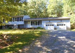 Foreclosure in  PEENPACK TRL Sparrow Bush, NY 12780