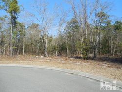 Foreclosure in  CYPRESS PT Wallace, NC 28466