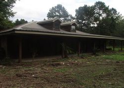 Foreclosure in  GEORGE WISE RD Carriere, MS 39426