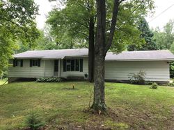 Foreclosure in  BLANCHARD ST Ossineke, MI 49766