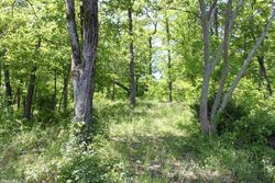 Foreclosure Listing in ALBERT PIKE RD HOT SPRINGS NATIONAL PARK, AR 71913