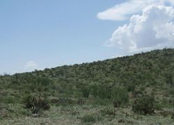 Foreclosure Listing in S BELL RD BENSON, AZ 85602