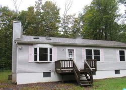 Foreclosure in  MAXATAWNY DR Pocono Lake, PA 18347