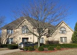 Foreclosure Listing in MISTY MEADOW DR PALOS HEIGHTS, IL 60463