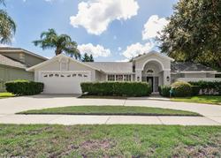 Foreclosure in  HOLLEMAN DR Valrico, FL 33596