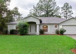 Foreclosure in  LOCUST PASS Ocala, FL 34472