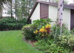 Foreclosure in  CACTUS HILL CT West Palm Beach, FL 33411