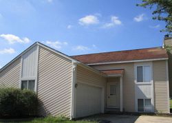 Foreclosure Listing in CONIFER CT AURORA, IL 60502