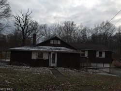 Foreclosure Listing in BUCK RD SALEM, OH 44460