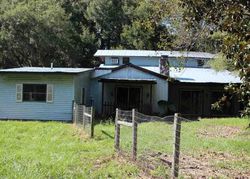 Foreclosure Listing in SW 202ND ST NEWBERRY, FL 32669