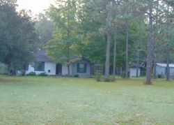 Foreclosure in  MUSTANG LN Chipley, FL 32428