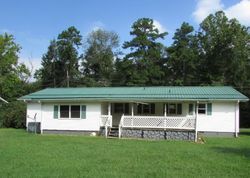 Foreclosure Listing in CREEKBANK RD ELIZABETHTON, TN 37643