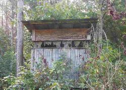 Foreclosure in  COUNTY ROAD 199 Oakland, MS 38948