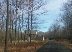 Foreclosure in  JANE CT Albrightsville, PA 18210