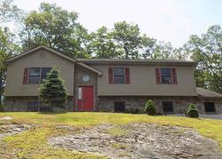 Foreclosure Listing in SUMMERTON CIR EAST STROUDSBURG, PA 18301