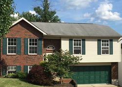 Foreclosure in  MITTEN DR Erlanger, KY 41018