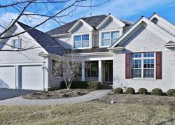 Foreclosure in  RIVER BIRCH WAY Libertyville, IL 60048