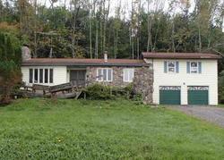 Foreclosure Listing in SHERIDAN RD RICHFIELD SPRINGS, NY 13439