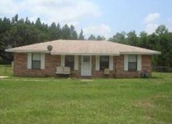 Foreclosure in  MERIDITH LN Ponce De Leon, FL 32455
