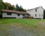 Foreclosure in  SPRUCE LN Parksville, NY 12768