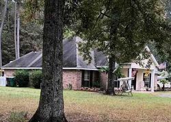 Foreclosure Listing in RIVER PINES DR SPRINGFIELD, LA 70462