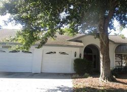 Foreclosure in  BELMOOR DR Palm Harbor, FL 34685