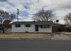 Foreclosure in  WILSON AVE Battle Mountain, NV 89820