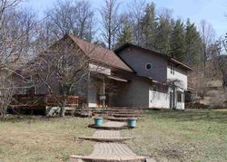 Foreclosure in  DEADSTREAM RD Honor, MI 49640