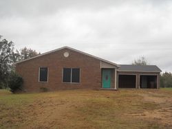 Foreclosure in  APPALOOSA DR Smithville, MS 38870